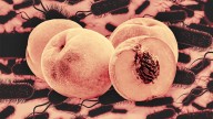 Don’t eat these peaches or peach products: Listeria contamination fears spark nationwide recalls