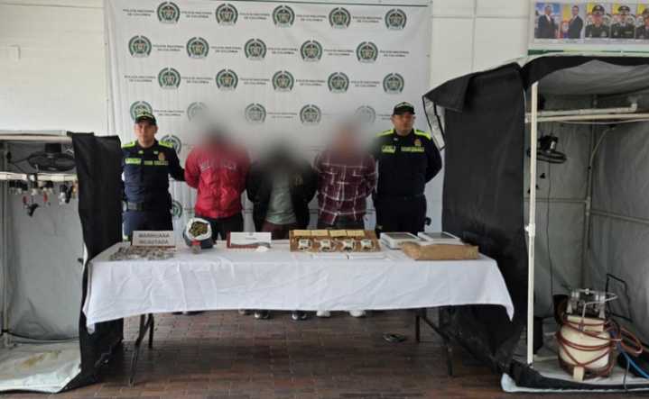 Hallan cultivo de marihuana en Ciudad Bolívar: producía 50 kilos al mes