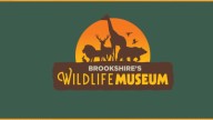 Brookshire’s Wildlife Museum announces reopening date