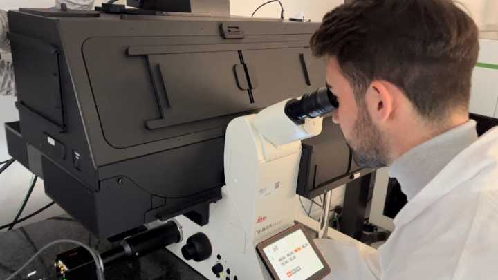 Un medicamento común podría frenar el tumor cerebral más agresivo: la esperanza llega desde lo inesperado