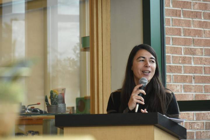 Governor requests $1B for rural health initiative, includes Delaware’s first medical school