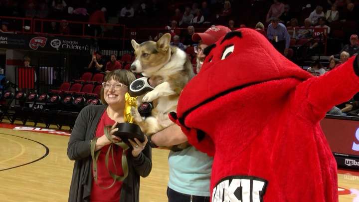 Jude McTavish III Claims WKU Corgi Race title