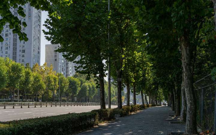 Naturaleza solo para ricos: ¿Qué es el 'efecto lujo' que muestra la brecha ecológica que divide a las ciudades?