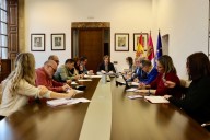 El amianto centra el Consejo de Medio Ambiente de Toledo que PSOE e IU tachan de "bochornoso" y de "burla"
