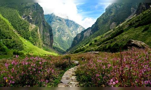 Nature, wildlife conservation integral part of Uttarakhand's culture, says CM Dhami