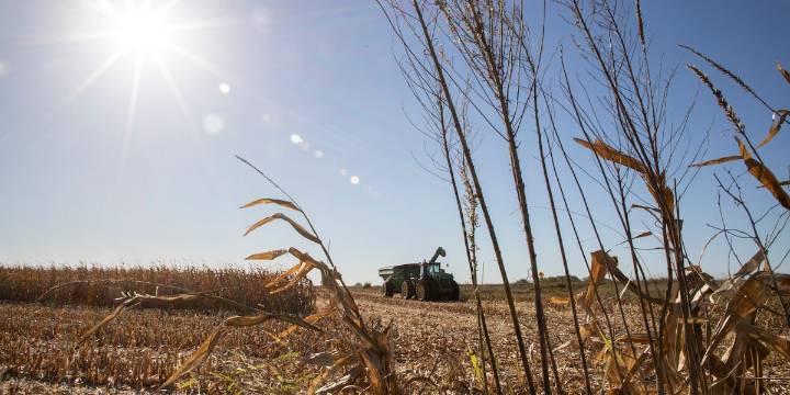 2025 harvest complete in Iowa; producers hope to improve ag economy for 2026