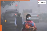Delhi-NCR pollution: Restrictions under GRAP IV shifted to GRAP III as Delhi’s AQI remains 'very poor'