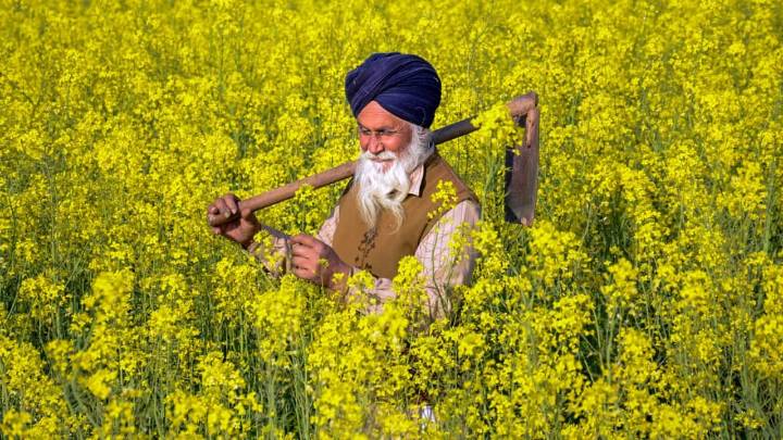 PM Kisan 21st installment released: How to check if you have received Rs 2000 payment