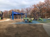 Iconic Bleser Park towers are no more