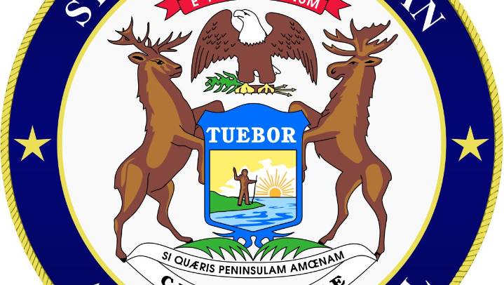 U.P. woman pleads guilty to Medicaid fraud