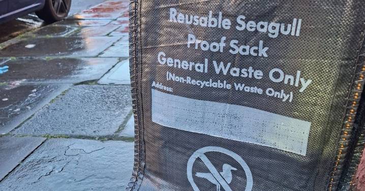 New plan to stop 'big problem' that's wrecking Cardiff's streets launched