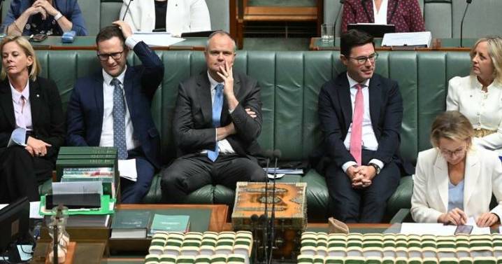 High-stakes meetings to thrash out Liberal energy plan