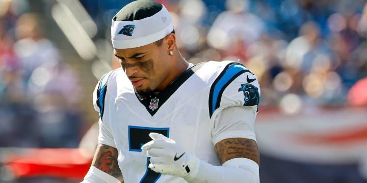Key Panthers player suspended for punching opponent during 49ers game