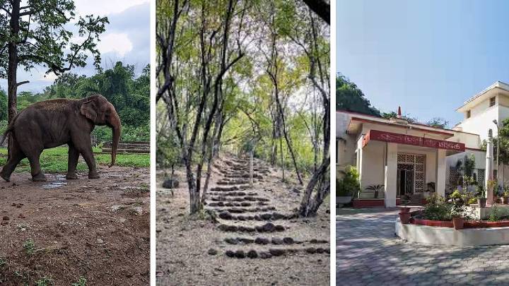 Children's Day 2025: 6 Fun Places In Indore To Visit With Your Kids