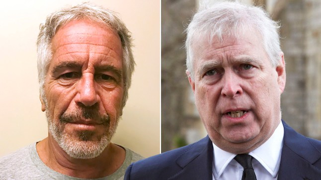 Andree wanted to ‘catch up’ with Jeffrey Epstein after he was released from prison 