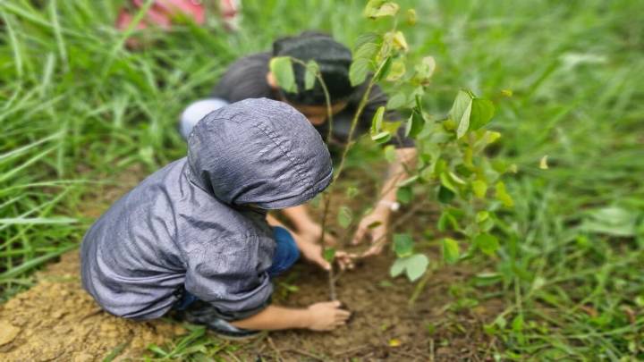 La CAR y la Gobernación superan los 16.000 árboles plantados en Cundinamarca para reducir la huella de carbono