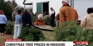 Families explore options for Christmas tree shopping this season