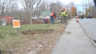 Ellsworth community members help plant trees in first phase of three