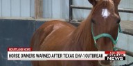 Missouri horses taking precautions to stop equine EHV
