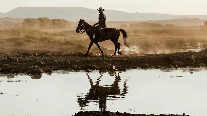 ¿Te gusta? Tiktoker comparte versión del Corrido de Chihuahua en country e inglés VIDEO