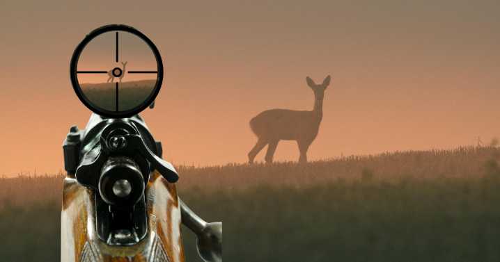 Alaska Wildlife Troopers issue citations during Sitka deer hunting enforcement