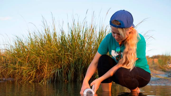 Pinellas to decide future of UF extension program educating on plants, water