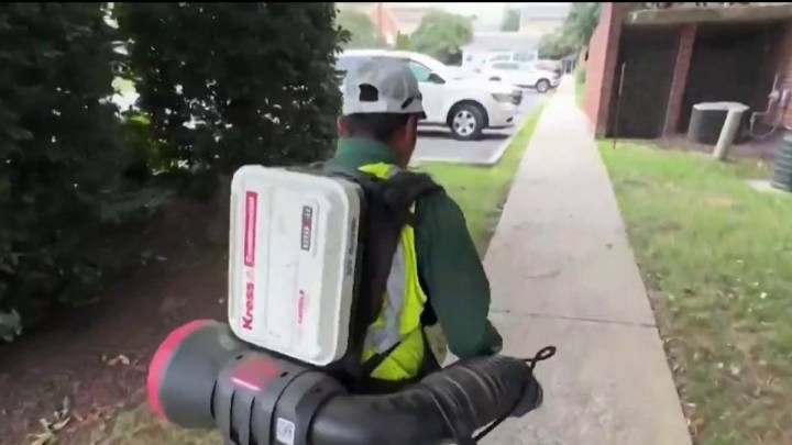 Montgomery enmienda ley: no más fotos para reportar uso de sopladores de hojas