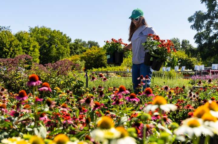 Top Workplaces 2025: The Midwest Companies cultivates growth