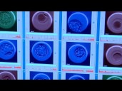 New embryo testing company says it can predict lifespan, height and IQ of potential children