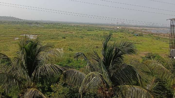 Indore News: Valuable Land About ₹60 Crore Freed In Mhow