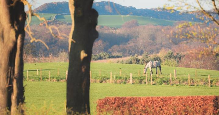 Job opportunity on Scottish estate for couple with £60k salary and private cottage