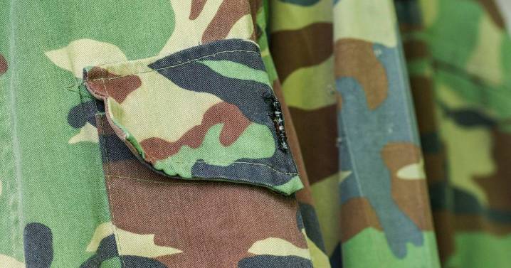 IDFPR celebrates National Veterans & Military Families Month