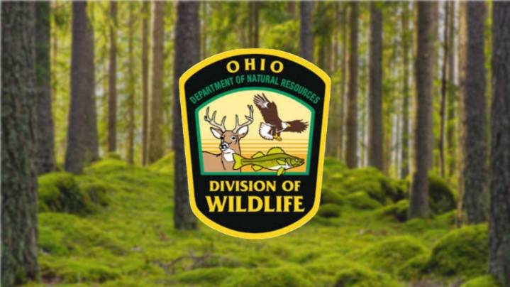 Veterans can shoot for free at Ohio ranges this weekend