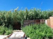 Cieri reclamó ayuda y más seguridad para el barrio La Celeste