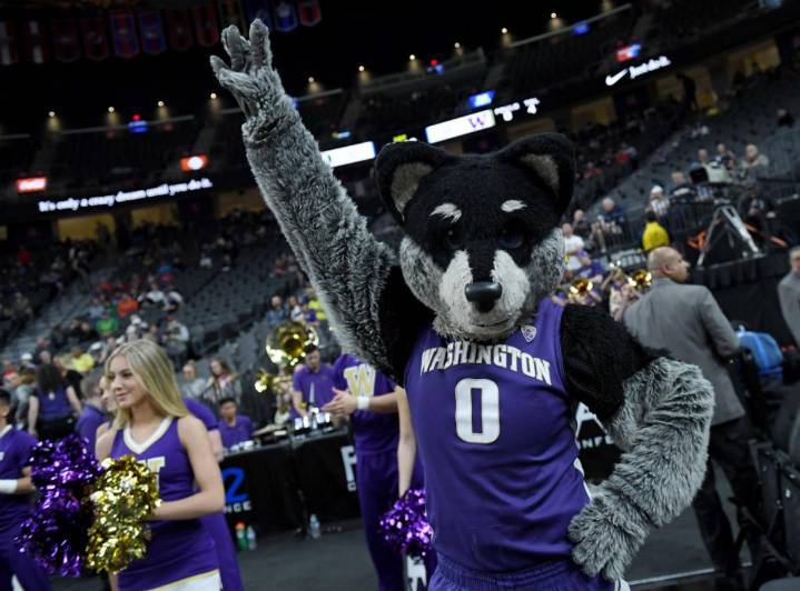 Washington Huskies Dominate Southern Jaguars In 50