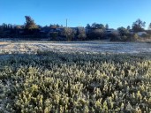 Bajará a menos cero la temperatura en la Mixteca