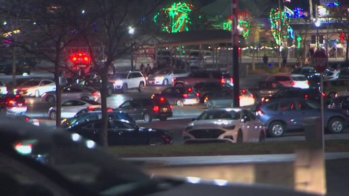 Columbus Zoo prepares to welcome guests, manage heavy traffic during 2025 Wildlights season.