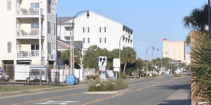 ‘Bear on the beach’: North Strand residents react to rare wildlife spotting