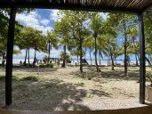 What Happiness Feels Like (Once You Stop Trying to Find It)