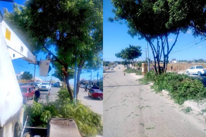 Refuerzan el mantenimiento en colonias y espacios públicos de Cabo San Lucas
