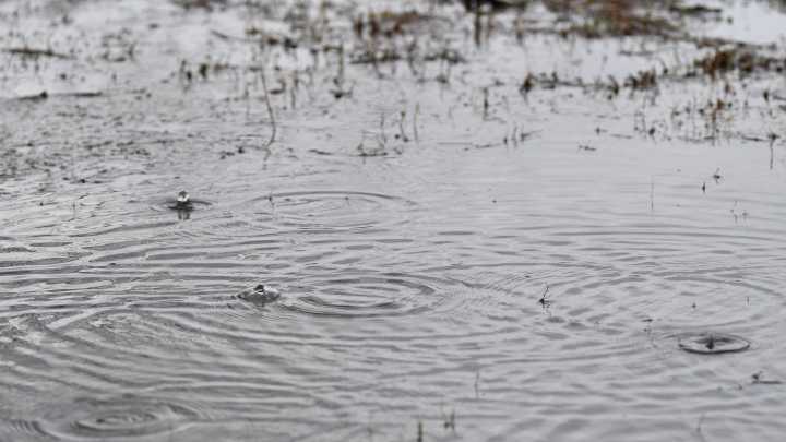 Essential storm prep tips every Lafayette homeowner should know