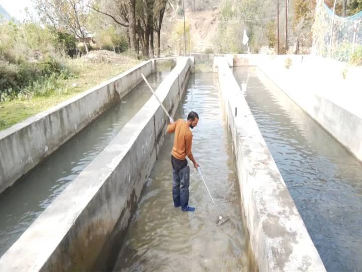 From farm to table: Tanvir Ahmad’s innovative fish farming solution meets growing demand in J&K’s Tanghdar