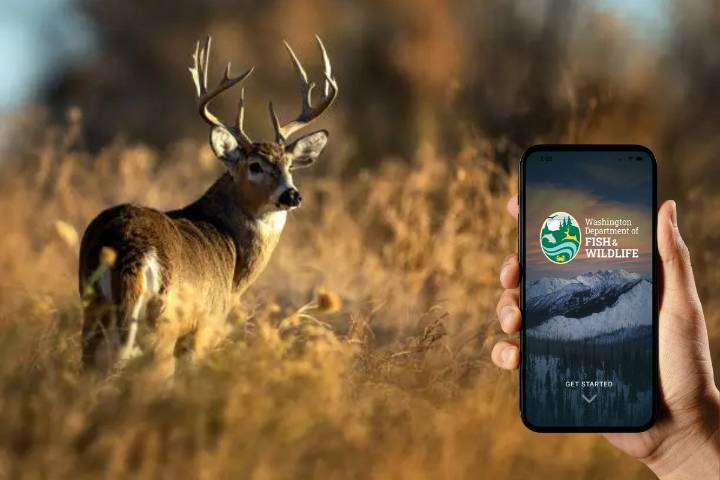 MyWDFW App Unveiled: Hunters and Anglers Go Digital in Washington