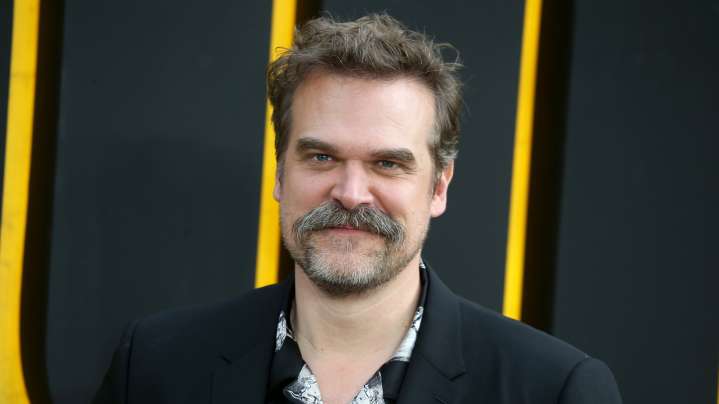 David Harbour's Rumored Feud With Stranger Things Co-Star Won't Help His Soured Reputation