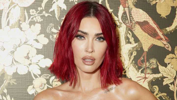 Reddit Is Torn On Megan Fox's New Face: Is She Unrecognizable Now? It's Actually No One's Business