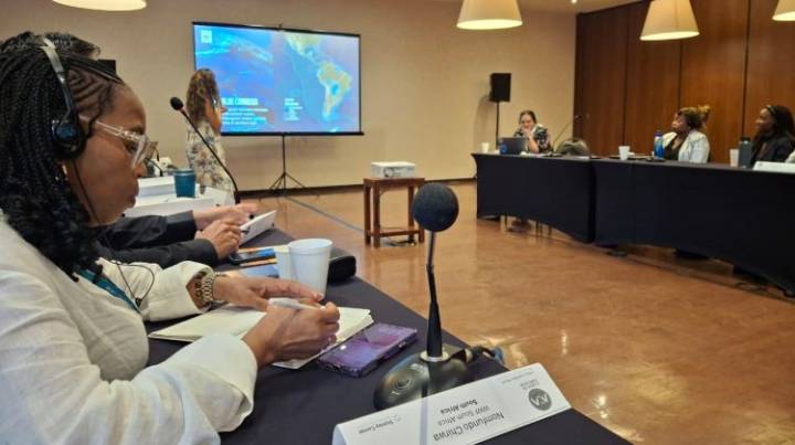 San Luis expuso sobre el Sitio Ramsar y la restauración ecológica en la COP30 Brasil