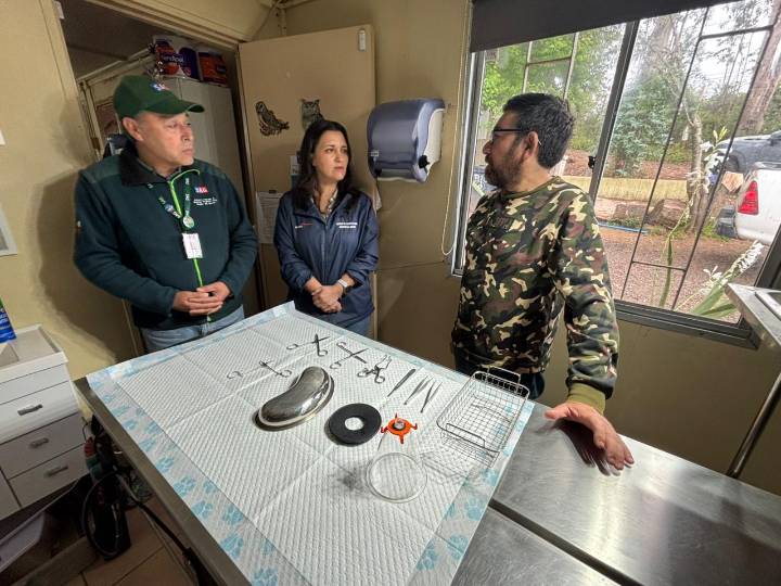 Altas temperaturas: coordinan trabajo preventivo para resguardo de la fauna silvestre ante incendios forestales en Biobío