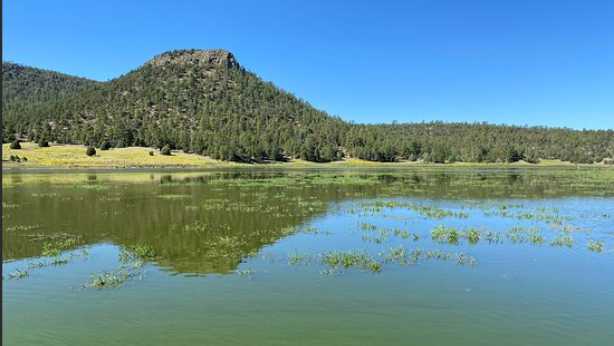 Quemado Lake closed to public due to toxic algae