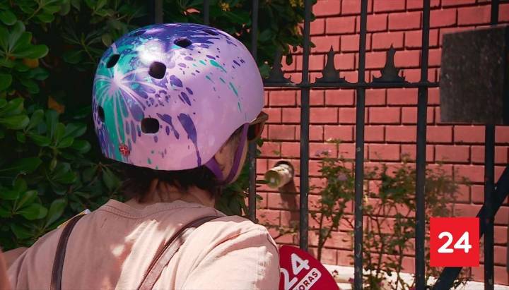 Triple crimen de La Reina: quién es la amiga de Trinidad Cruz