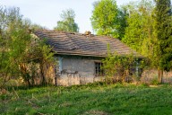 Una familia quiso vivir solo con paneles solares, agua de pozo y un huerto. Hasta que Italia le quitó a sus hijos